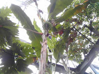 SBSH0151.JPG