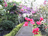SBSH0154.JPG
