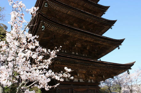瑠璃光寺五重塔