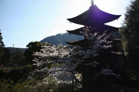 瑠璃光寺五重塔