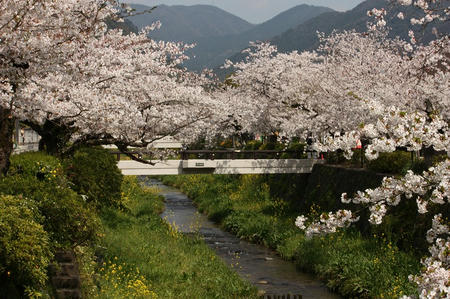一の坂川