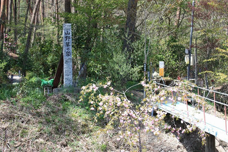 山野草のエキ入り口