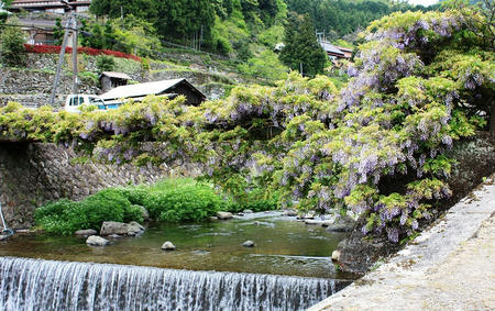 愛のふじ橋