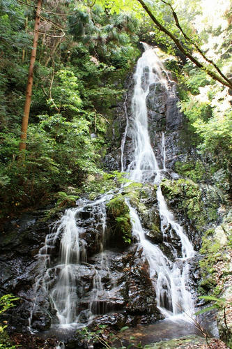 錦鶏の滝・雄滝