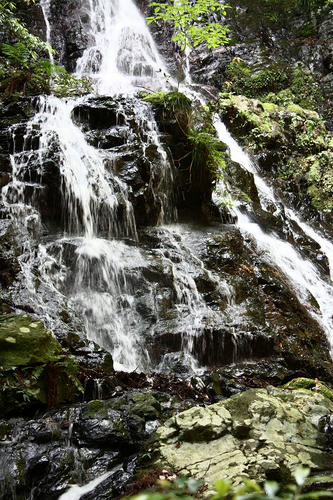 錦鶏の滝・雄滝