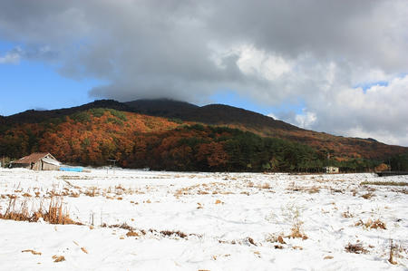臥龍山林道入り口付近から