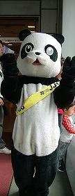 panda_kigurumi.jpg