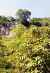 200709221521000.jpg