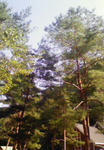 200709221521001.jpg