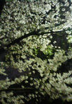 200904062130000.jpg