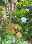 IMG_1603.jpg