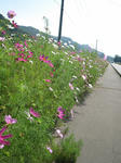 IMG_1880.jpg