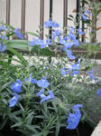 IMG_2164.jpg