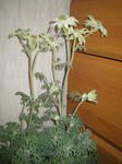 IMG_2844.jpg