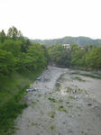 IMG_3415.jpg
