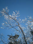 IMG_4163.jpg