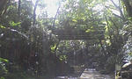 67eb6a6d.jpeg