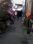 SA3A0059.JPG