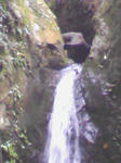 SA3A0004.JPG