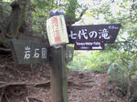 SA3A0006.JPG