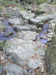 SA3A0019.JPG