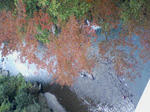 SA3A0001001.JPG