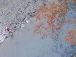SA3A0003001.JPG