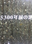 SA3A0102.JPG