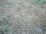 SA3A0115.JPG