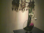 SA3A0061.JPG