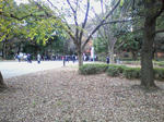 SA3A0127.JPG