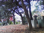 SA3A0129.JPG