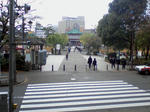 SA3A0131.JPG