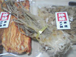 SA3A0146.JPG