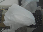 SA3A0177.JPG