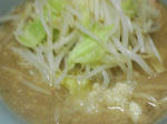 SA3A0238.JPG