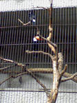 SA3A0248.JPG