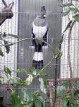 SA3A0250.JPG