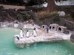 SA3A0252.JPG