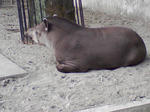 SA3A0257.JPG