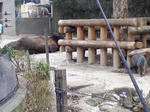 SA3A0263.JPG