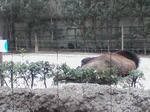 SA3A0265.JPG