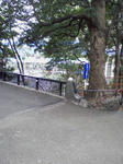SA3A0271.JPG