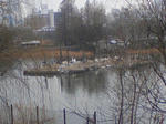 SA3A0273.JPG