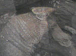 SA3A0278.JPG