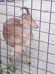 SA3A0283.JPG
