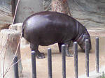 SA3A0284.JPG