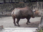 SA3A0285.JPG