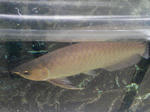 SA3A0290.JPG