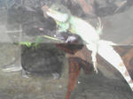SA3A0292.JPG